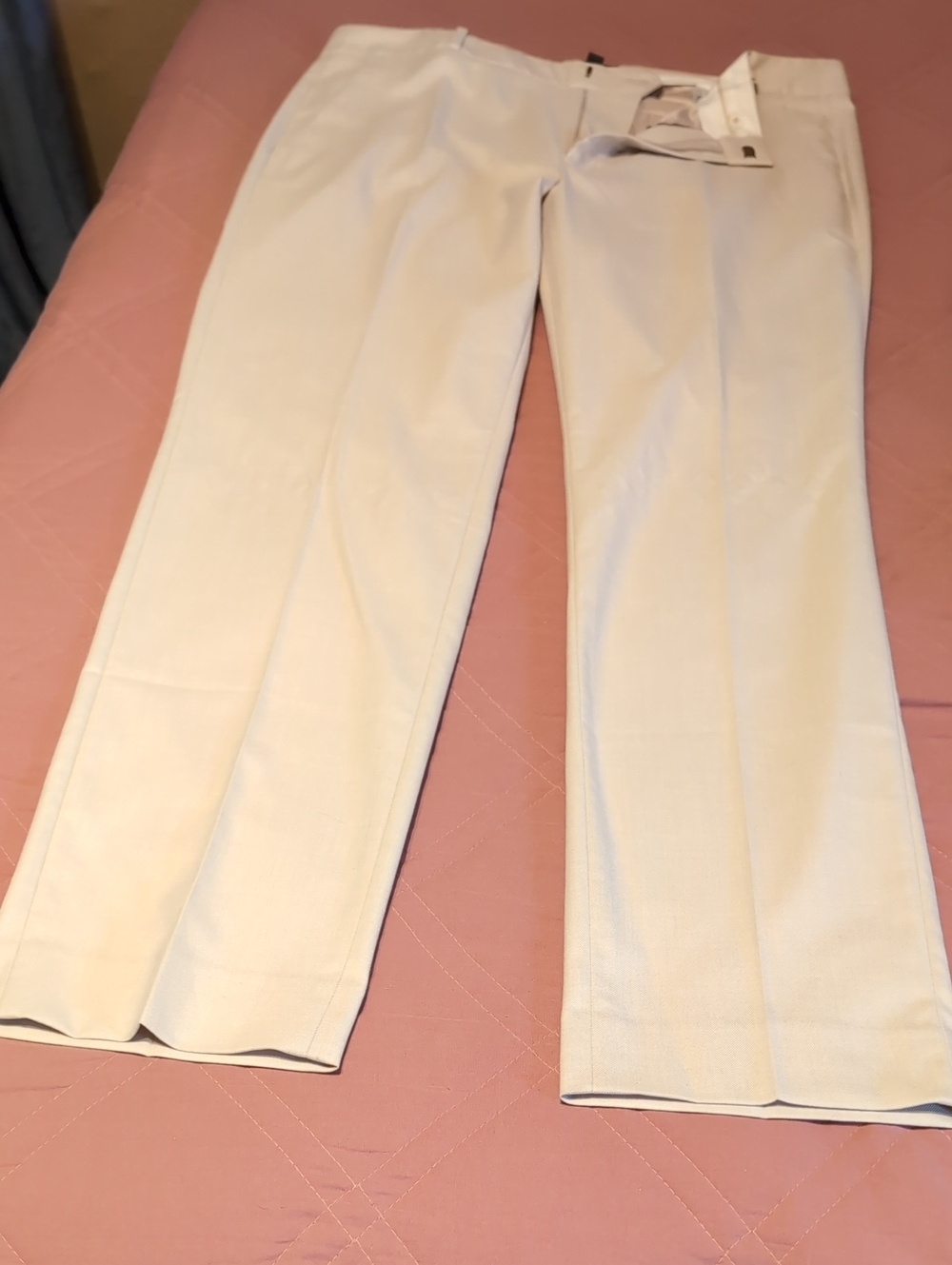 Banana Republic Cream Dress Pants